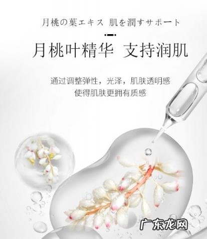 国足影子杀手 南京炫赫门规格尺寸图片