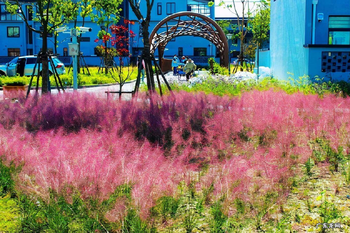 上海金山水库在哪儿 风水中的金山水库是什么