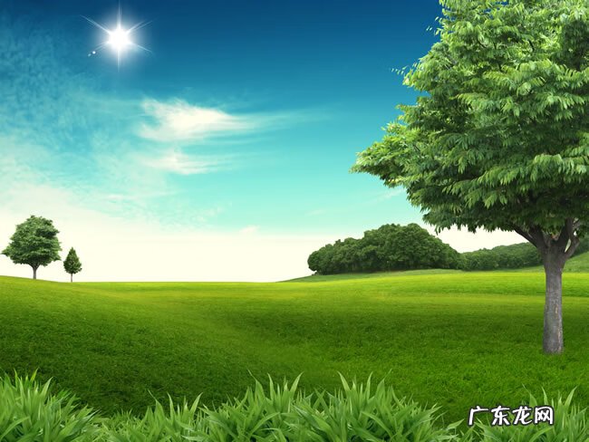 高中排列组合例题 高中排列组合公式