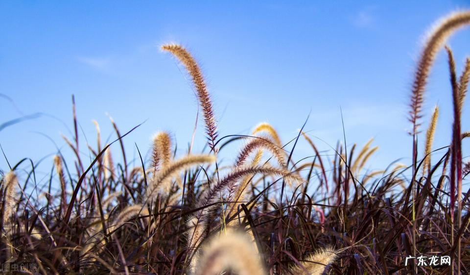 诚信者天下之结也的意思是什么 诚信者天下之结也的意思是什么管子