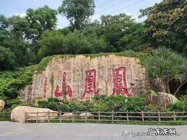 风水中凤鸣之地是什么意思啊