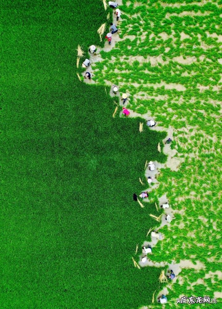 安徽的主要物产是什么 安徽哪个地方物产最丰富