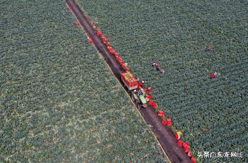 安徽的主要物产是什么 安徽哪个地方物产最丰富