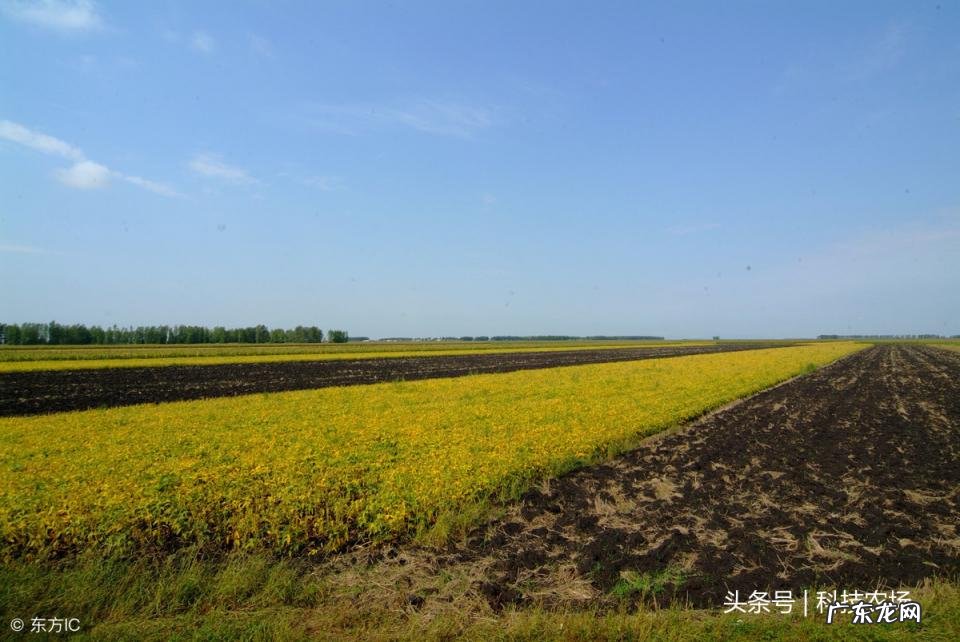 北大荒在哪个省哪个县 北大荒是那里