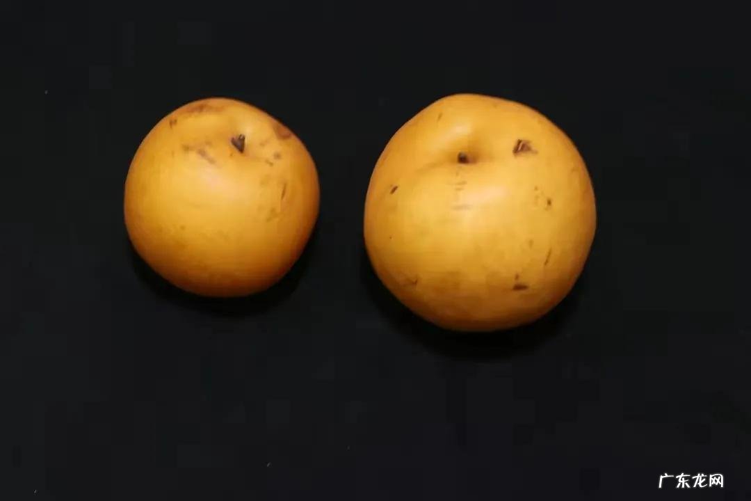 秋月梨时间久了会变嘛 秋月梨常温可以放置多久