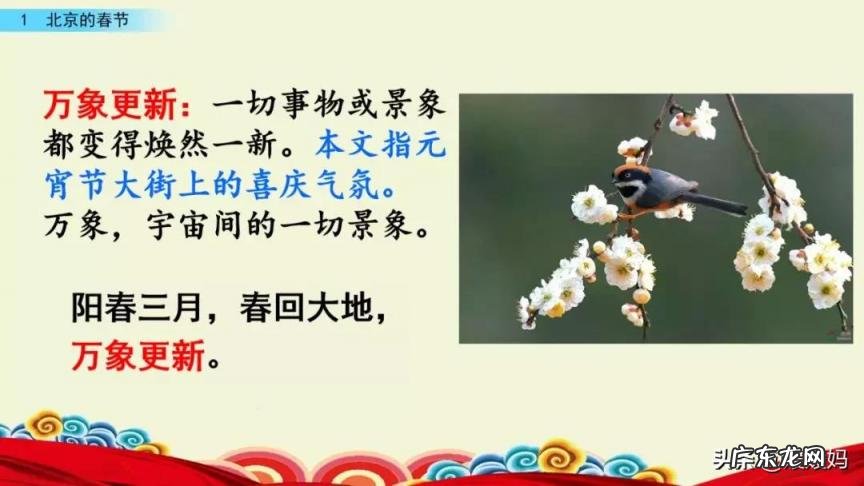 贩组词组和拼音 贩组词组什么词