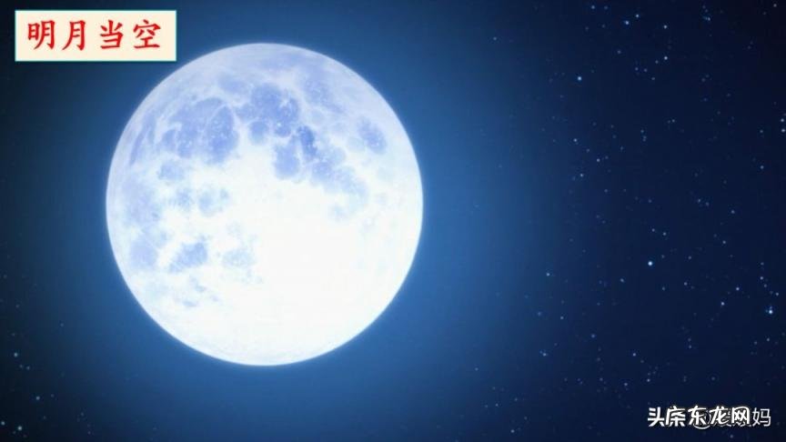 贩组词组和拼音 贩组词组什么词