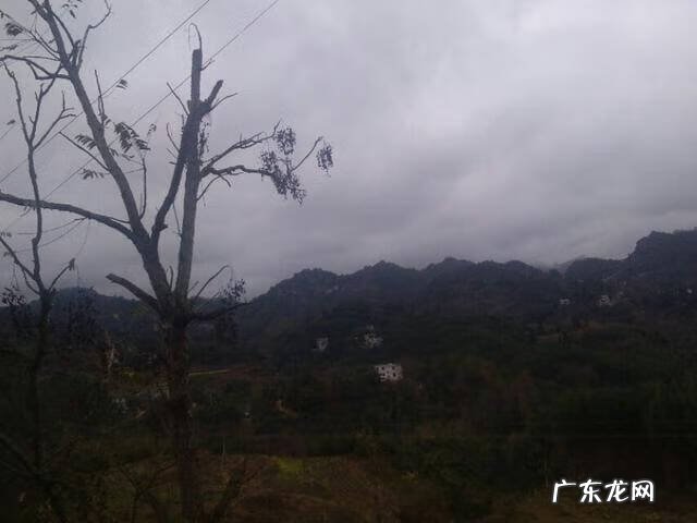 蝙蝠形飞行器 蝙蝠地形风水怎样