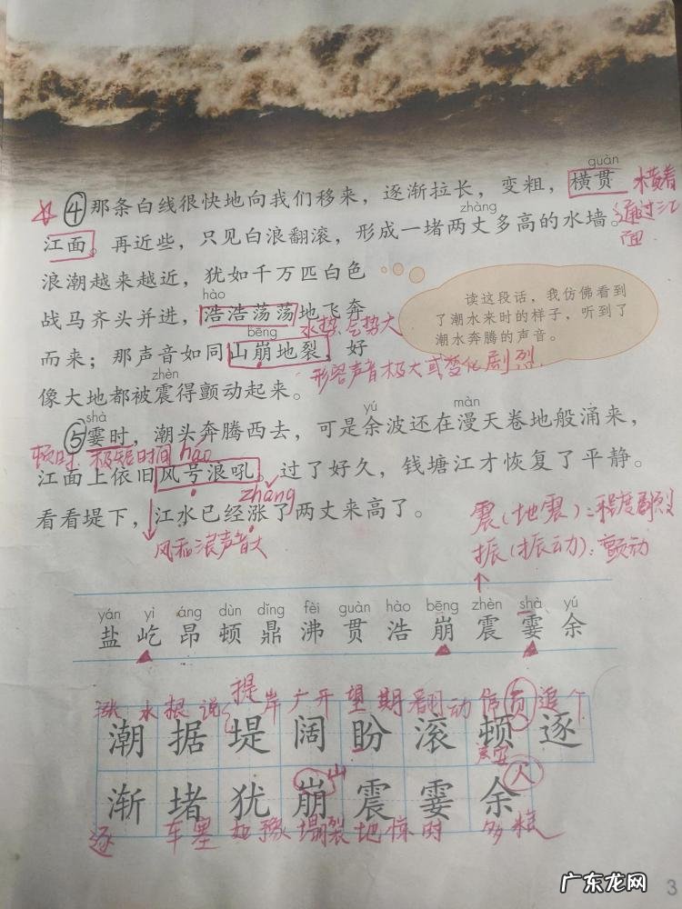 风号浪吼的读音是什么意思 风号浪吼,怎么读