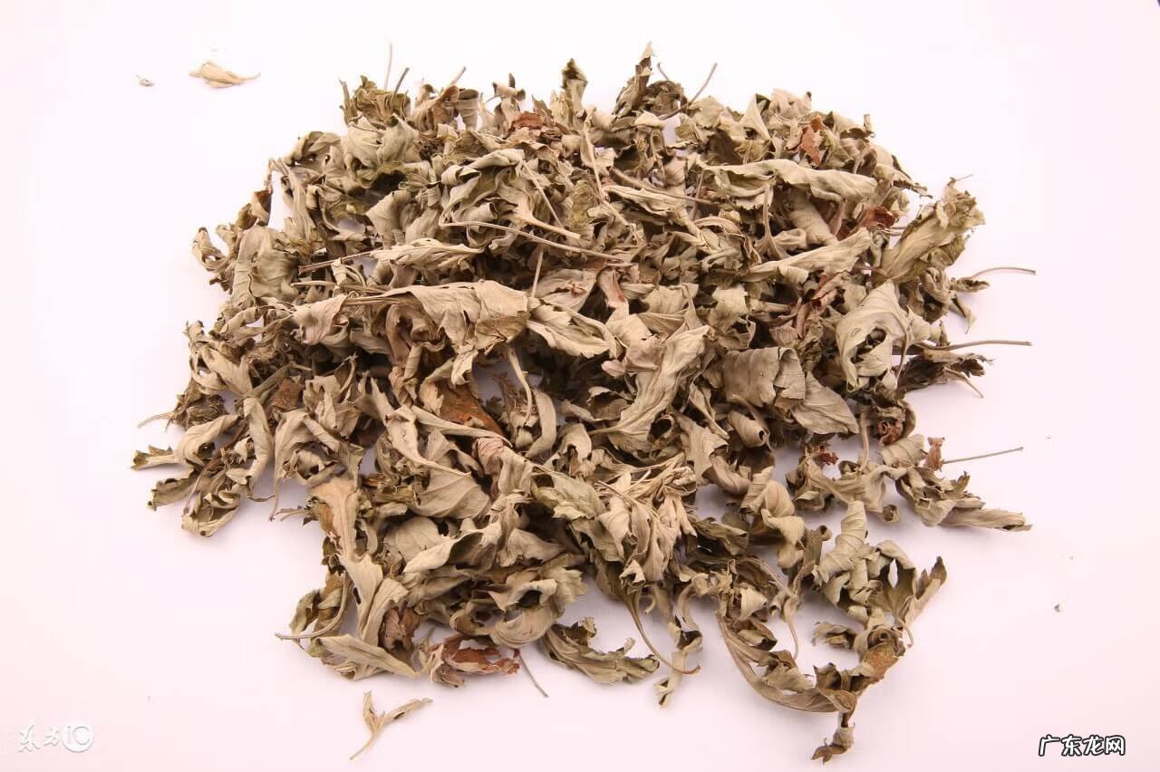 艾草对皮肤痒的作用与功效 艾草的功效和作用和禁忌