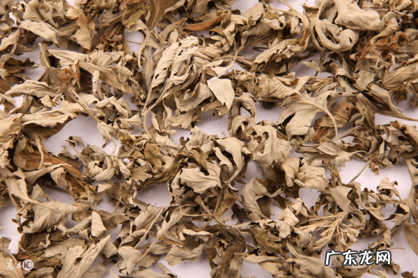 艾草对皮肤痒的作用与功效 艾草的功效和作用和禁忌