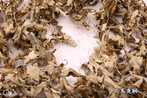 艾草对皮肤痒的作用与功效 艾草的功效和作用和禁忌