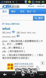 嫖娼是指什么意思 具体而微是什么意思啊