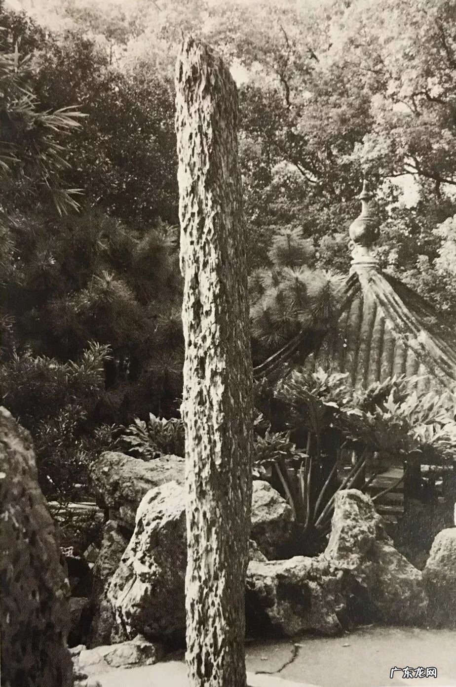 至于园可无憾矣翻译 《于园》翻译