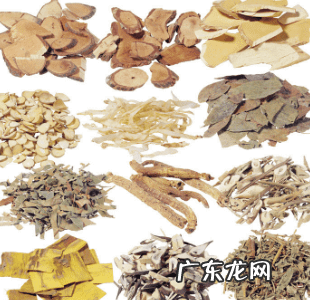 治疗痔疮的药物咨询 治疗痔疮药物