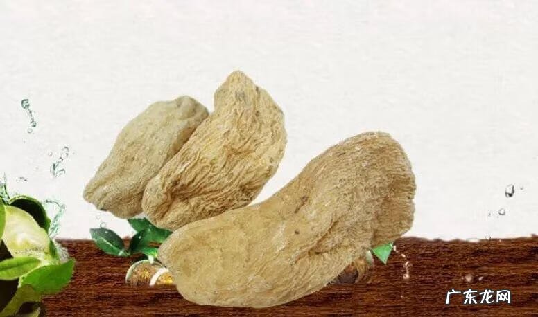 天麻功能 天麻图片