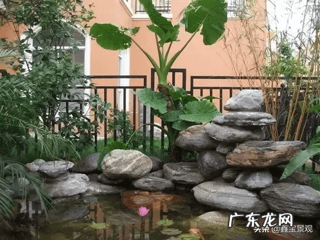 家庭庭院鱼池风水 院子里鱼池的位置风水
