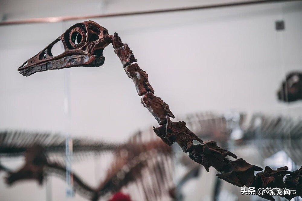 十大冷门专业有哪些 冷门专业有哪些?