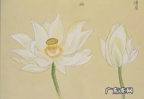 侃侃而谈什么意思解释 侃侃而谈是什么意思中文