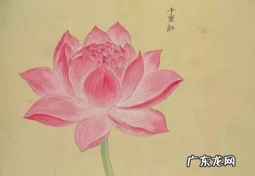 侃侃而谈什么意思解释 侃侃而谈是什么意思中文