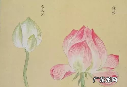 侃侃而谈什么意思解释 侃侃而谈是什么意思中文