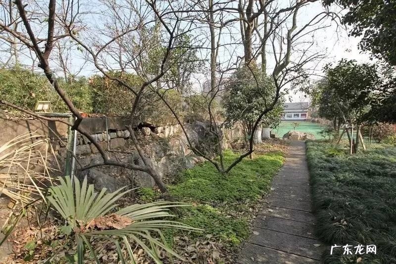 不拘一格降人才的降的读音 不拘一格降人才是谁的诗句上一句