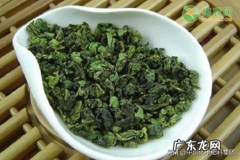 洞庭碧螺春产于哪个地方 碧螺春种植技术