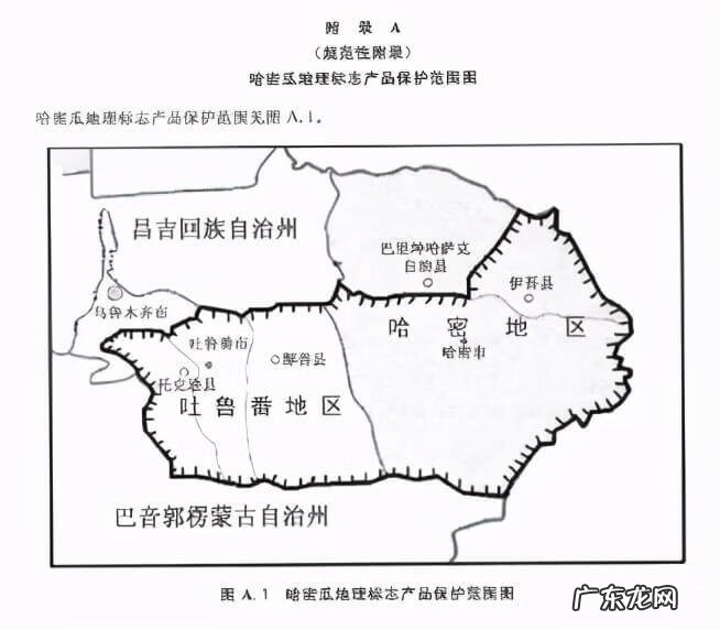 新疆哈密瓜有几种 新疆哈密瓜和海南哈密瓜的区别