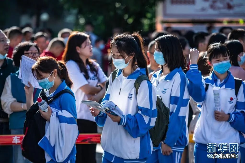 高考志愿填报技巧经验 高考志愿填报技巧与指南