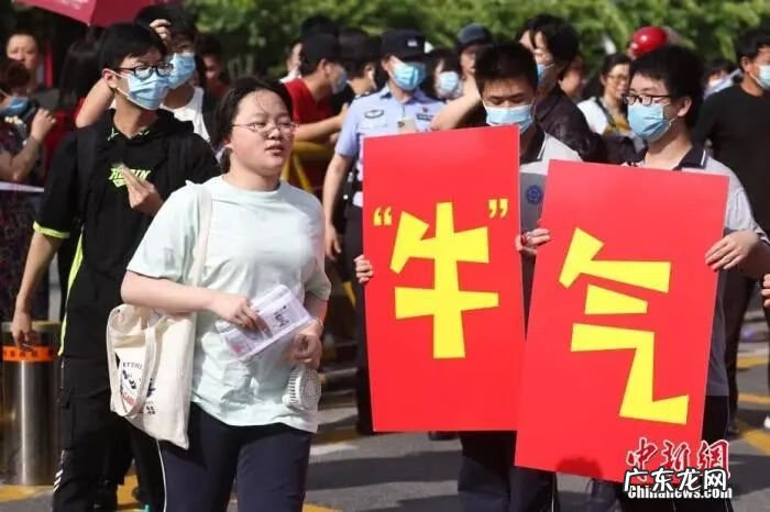 高考志愿填报技巧经验 高考志愿填报技巧与指南