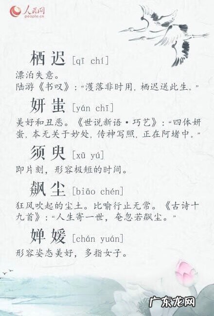 生僻却美到爆的成语 生僻却美到爆的词语一字