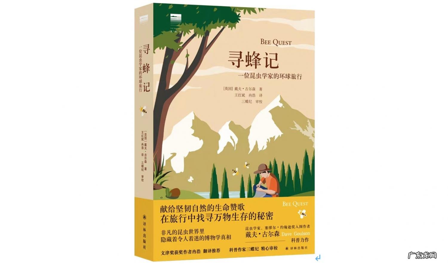 爬是什么结构的字 爬的笔顺是什么怎么写