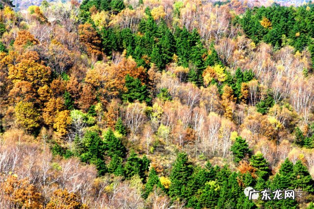 神奇仙子 仙子神道岭风水