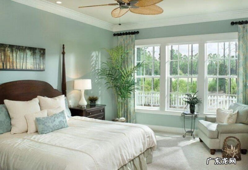 多肉植物放哪里风水旺 绿植摆放位置风水最旺财