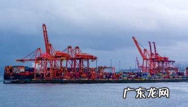 11月去青岛穿什么衣服合适 2022年11月去青岛冷不冷