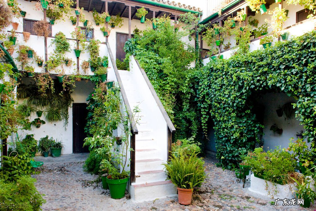 家门口种三棵树好不好 门口有三棵树好不好