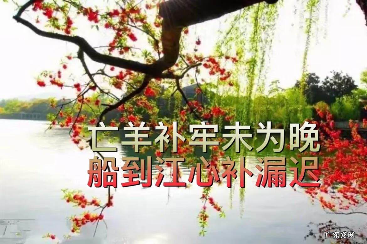 亡羊补牢让我们明白了什么 亡羊补牢的道理是什么