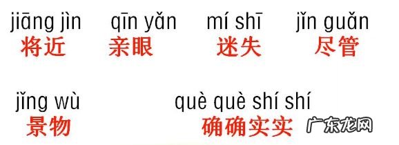 姿组词组词语 词组的词组词