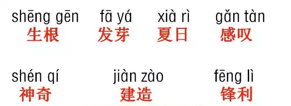 姿组词组词语 词组的词组词