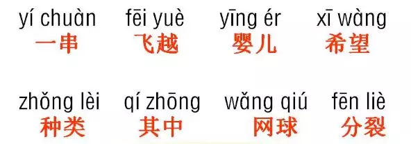 姿组词组词语 词组的词组词