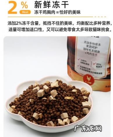 猫粮人能试吃吗 喵人冻猫粮怎么样好吃吗