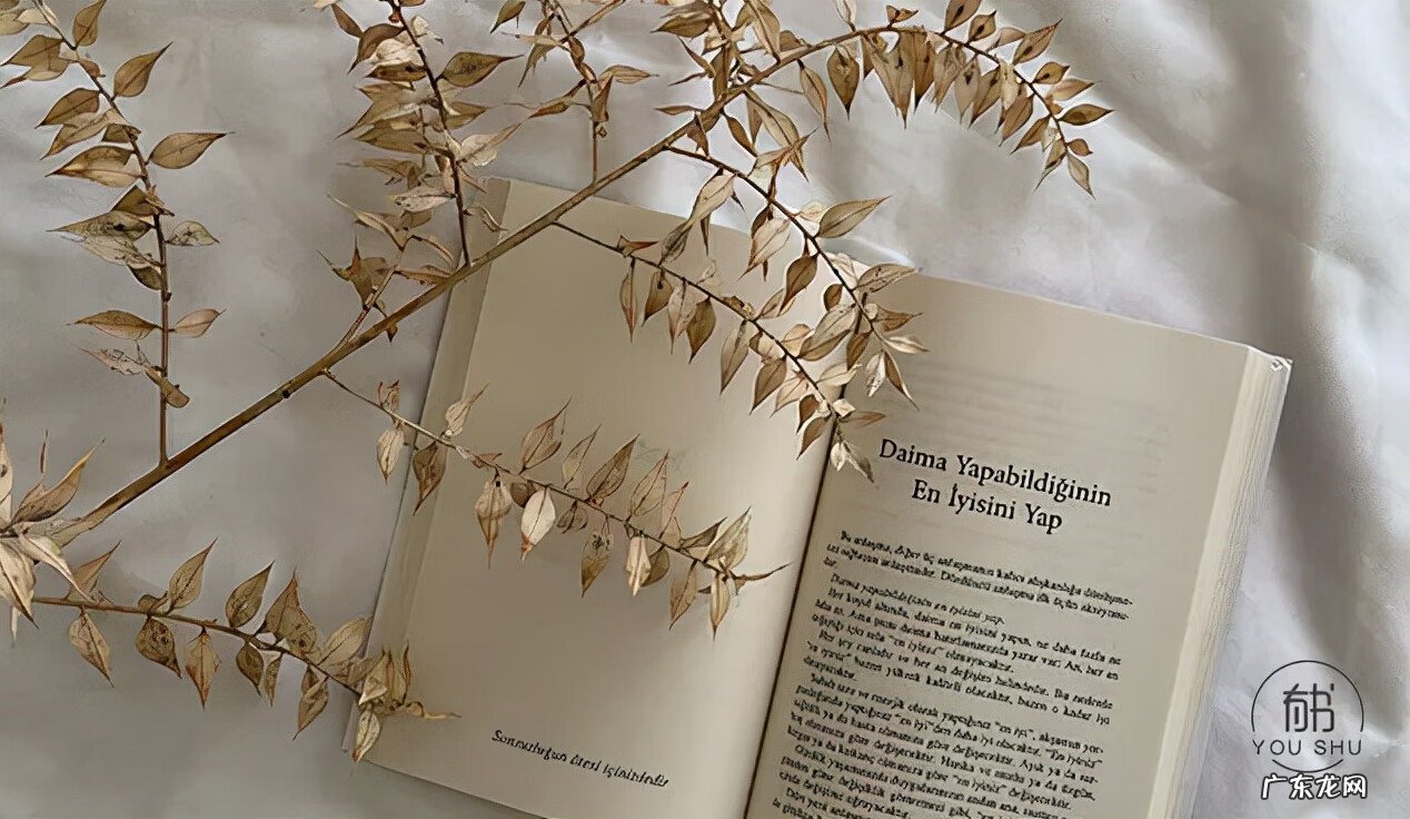 推荐超好看的书 有什么好看的书籍