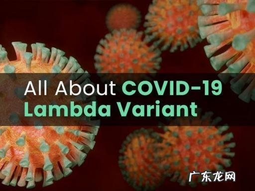 拉姆达变异毒株为什么叫拉姆达 拉姆达变异毒株是什么意思