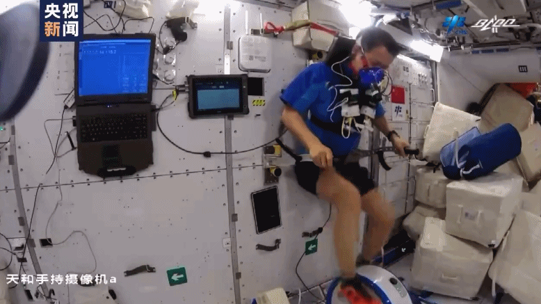 新一季太空生活剧透来了几期 新一季太空生活剧透来了陶宝