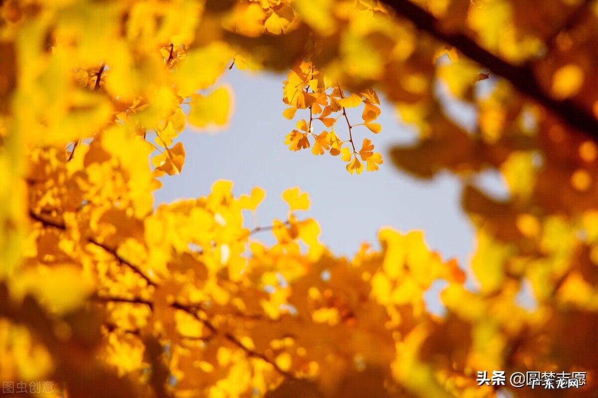 英国最好的三十所大学 美国承认中国4所大学是哪四所