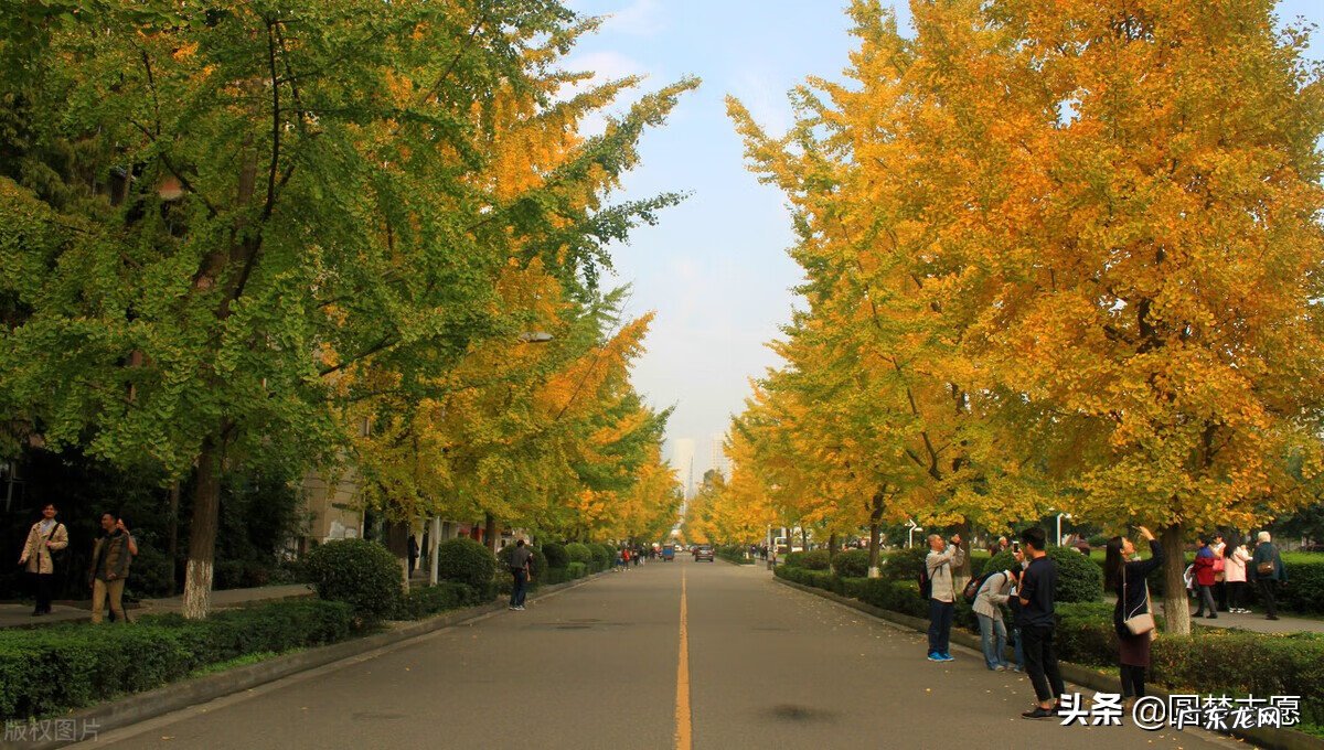 英国最好的三十所大学 美国承认中国4所大学是哪四所