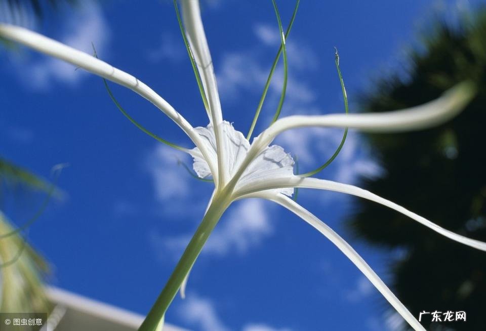 不解之缘的意思解释 不解之缘的意思