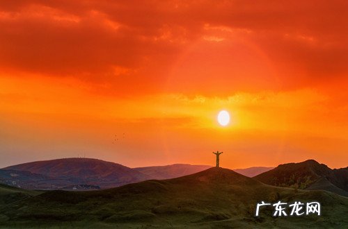 母秋老虎的意思 秋老虎分公母是什么意思啊