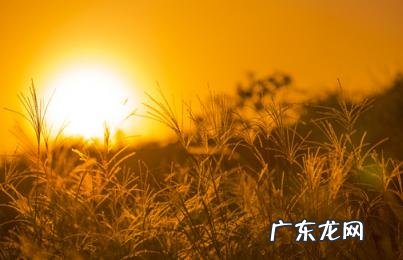 母秋老虎的意思 秋老虎分公母是什么意思啊