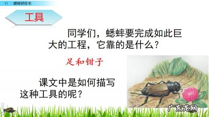 扒组词 多音字 扒组词 多音字和拼音